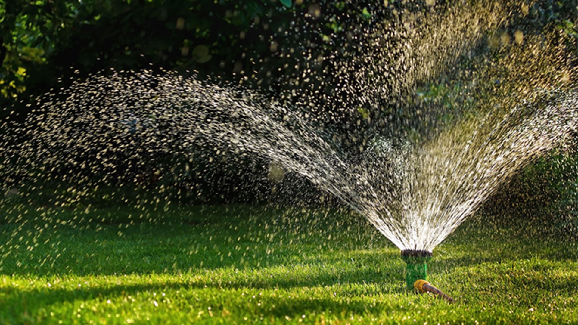 Expert Drainage Services in Weatherford , TX for Reliable Landscape Protection