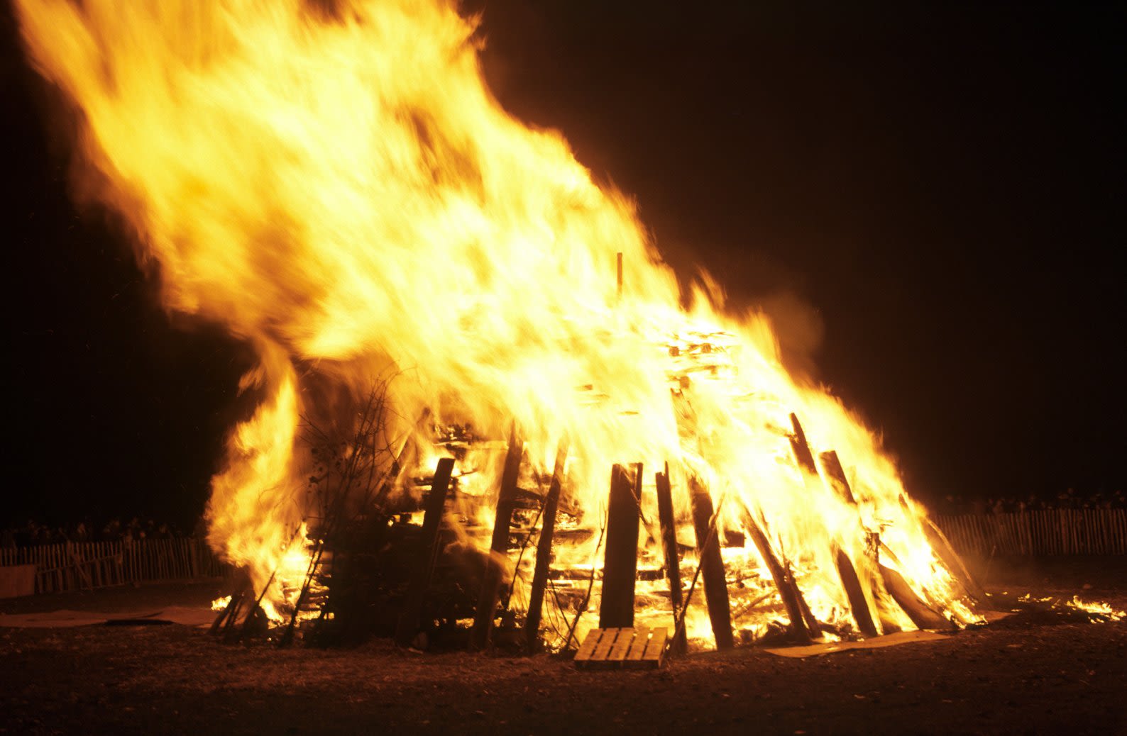 Wild Fire Events: Specialists in Kids’ Parties and Camps