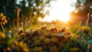 Captura un núcleo de abejas, mostrando la estructura y actividad de las abejas en su entorno natural.